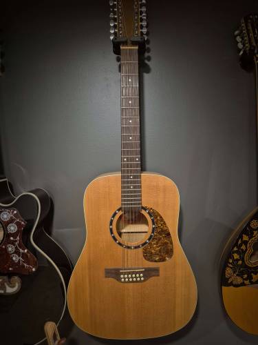 12 strings acoustic guitar