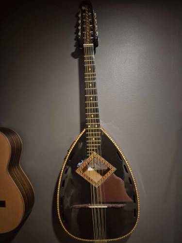 Algerian Mondol