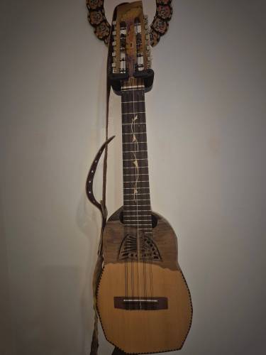Argentinian Ronroco_