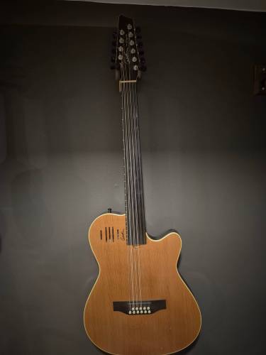 Fretless oud guitar