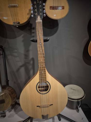 Octave Mandolin